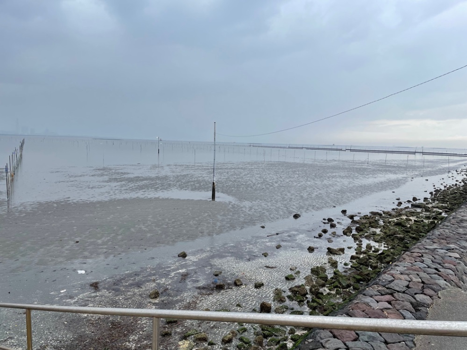 海に整然と並ぶくい