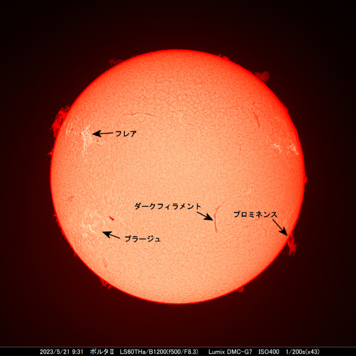 フレアなど様々な太陽活動