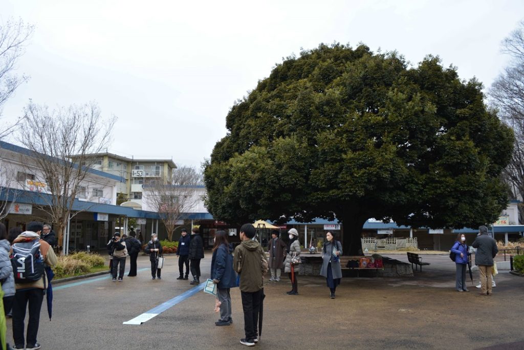 常盤平団地TOKIWALK