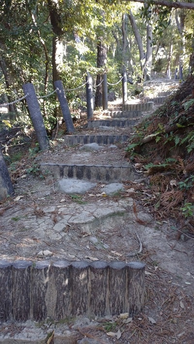 【南房総市】「伊予ヶ岳」へ登山・ハイキング!千葉の房総低名山シリーズ