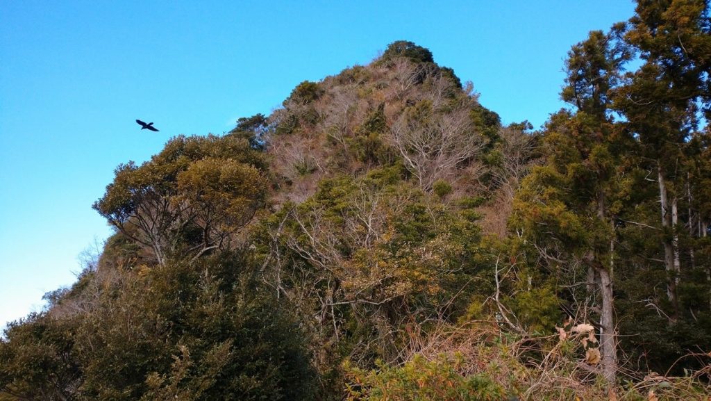 【南房総市】「伊予ヶ岳」へ登山・ハイキング!千葉の房総低名山シリーズ