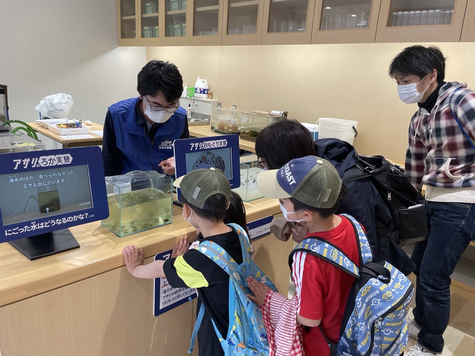 ふなばし三番瀬海浜公園の潮干狩り