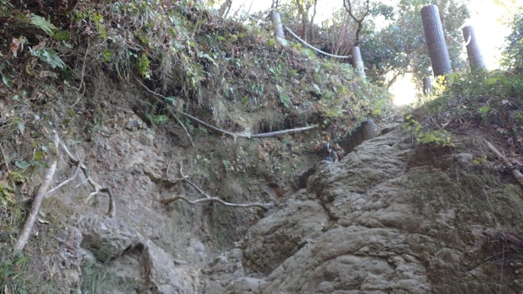 【南房総市】「伊予ヶ岳」へ登山・ハイキング!千葉の房総低名山シリーズ