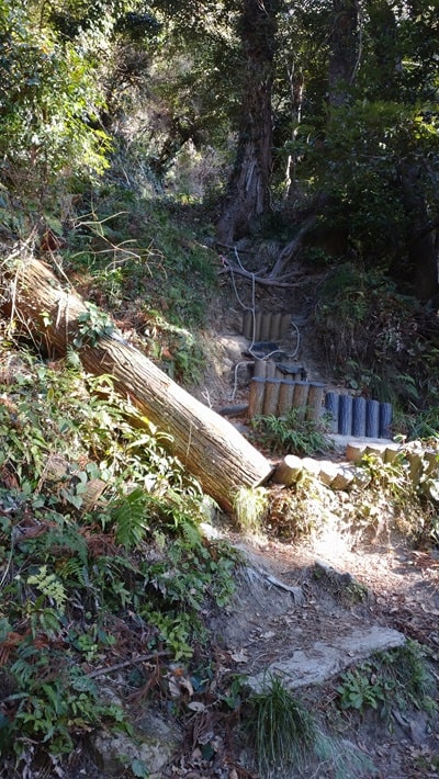 【南房総市】「伊予ヶ岳」へ登山・ハイキング!千葉の房総低名山シリーズ