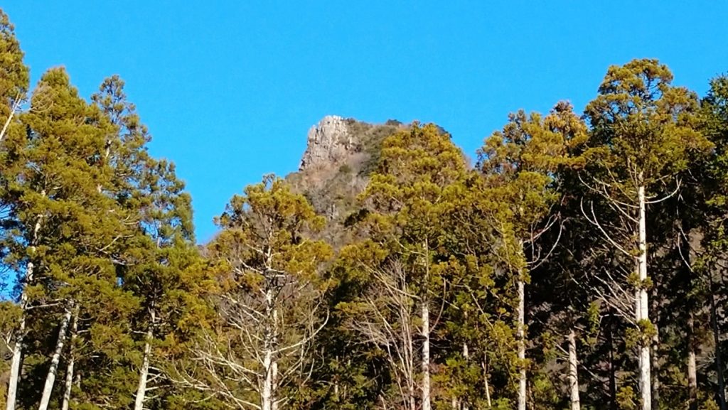 【南房総市】「伊予ヶ岳」へ登山・ハイキング!千葉の房総低名山シリーズ