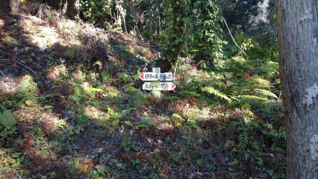 【南房総市】「伊予ヶ岳」へ登山・ハイキング!千葉の房総低名山シリーズ