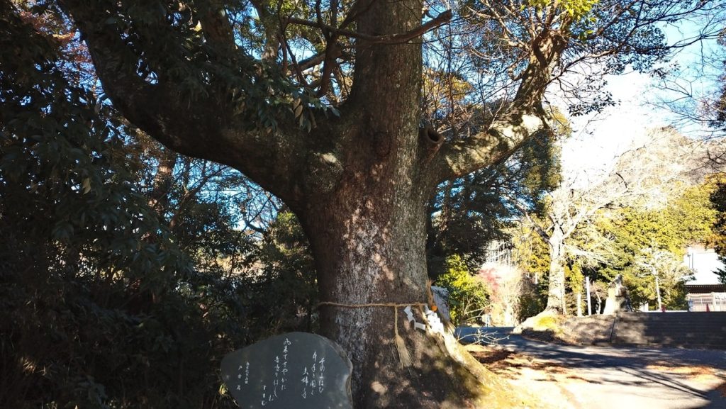 【南房総市】「伊予ヶ岳」へ登山・ハイキング!千葉の房総低名山シリーズ