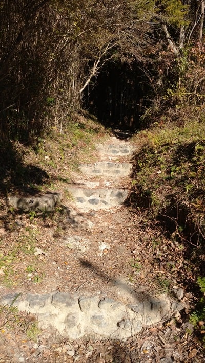 【南房総市】「伊予ヶ岳」へ登山・ハイキング!千葉の房総低名山シリーズ