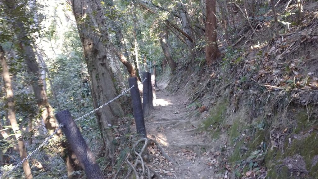 【南房総市】「伊予ヶ岳」へ登山・ハイキング!千葉の房総低名山シリーズ