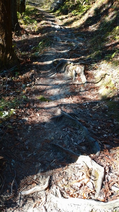 【南房総市】「伊予ヶ岳」へ登山・ハイキング!千葉の房総低名山シリーズ