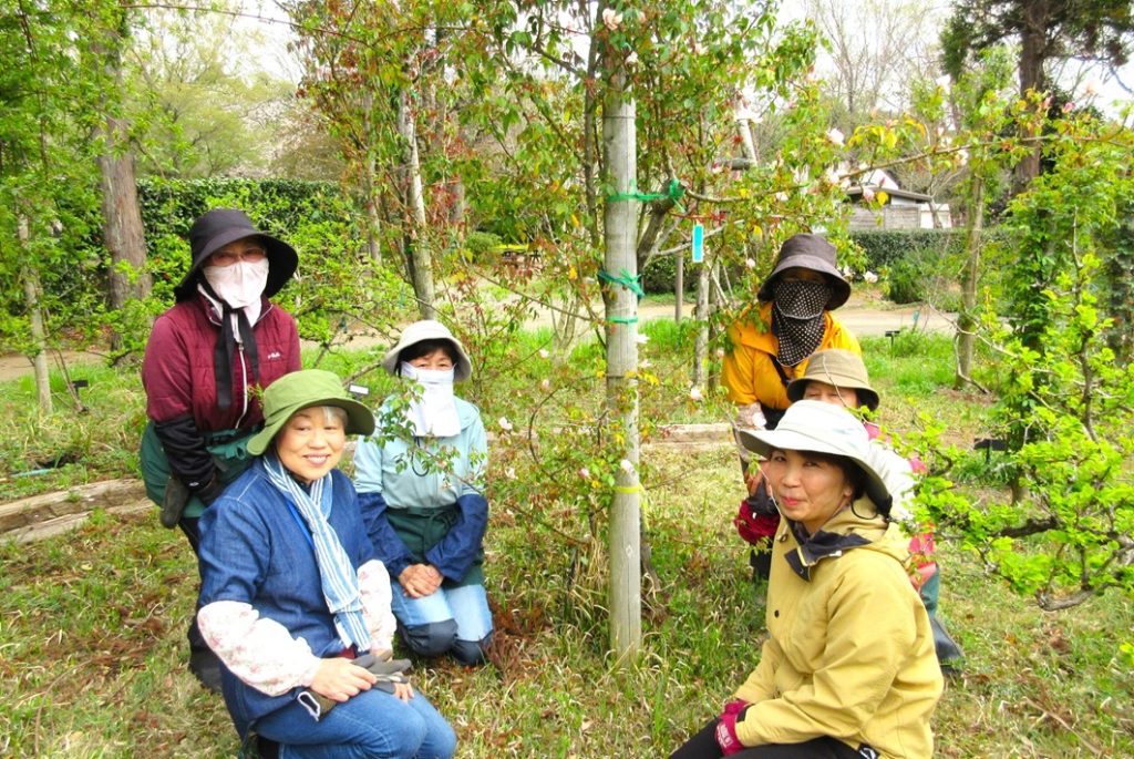 佐倉草ぶえの丘「ローズフェスティバル2024」5月12日～6月2日まで開催【佐倉市】
