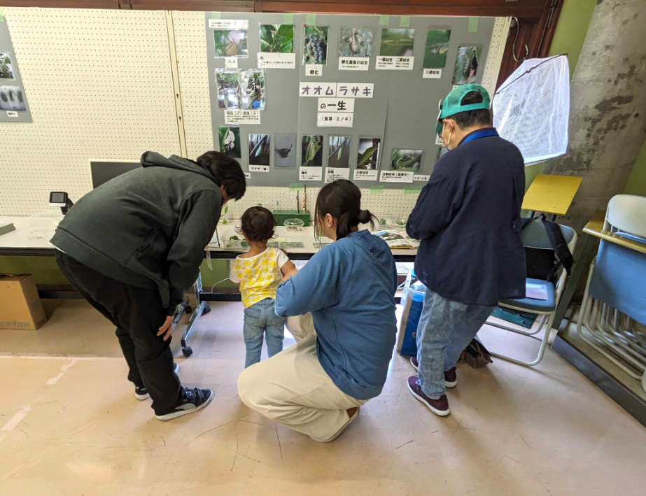 生きたチョウの幼虫を観察する親子