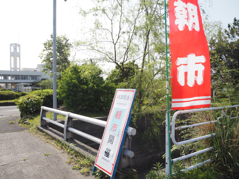 こののぼりが開催の合図!