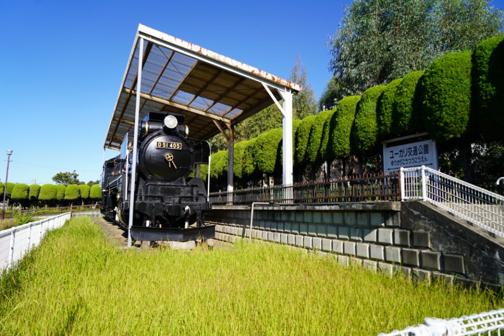 ユーカリ交通公園のD51型蒸気機関車