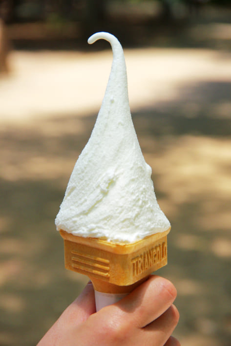 千葉県 ふなばしアンデルセン公園のアイス