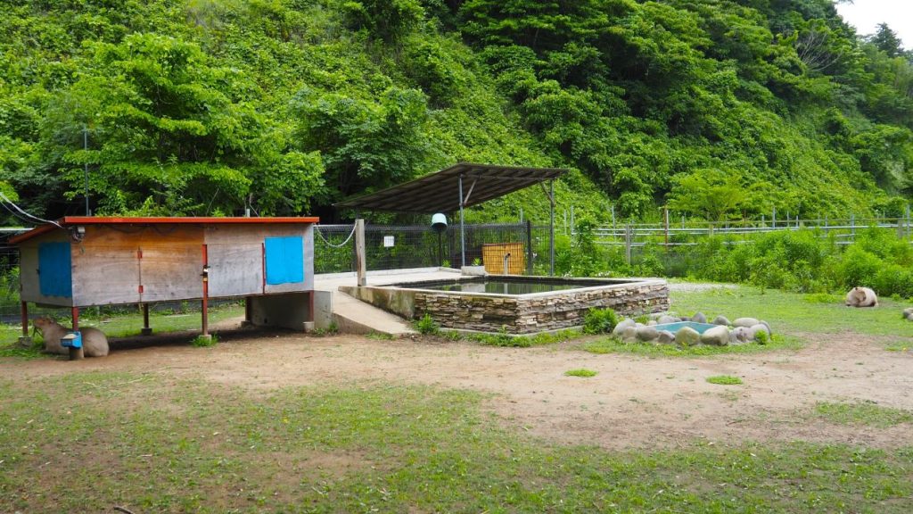 袖ヶ浦ふれあいどうぶつ縁　6頭が暮らすエリア。もう1頭のレクサスは離れて住んでいます