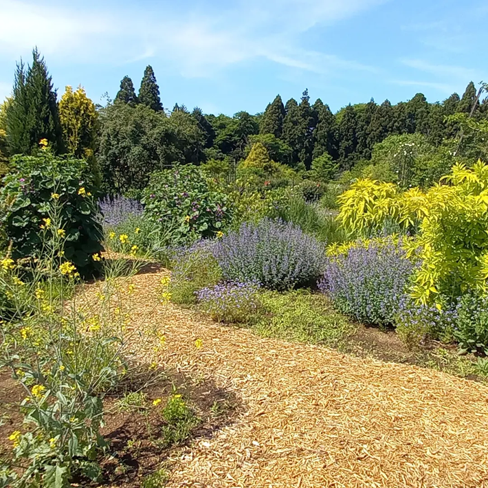 佐倉ハーブ園
