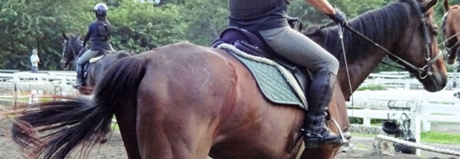 乗馬クラブ クレイン千葉