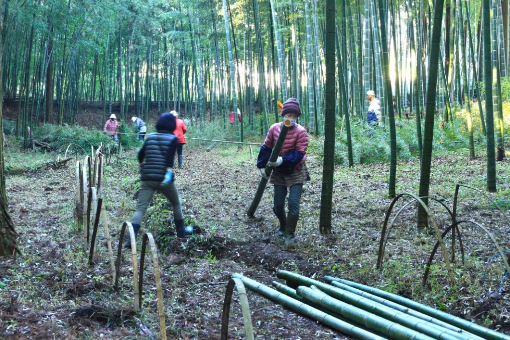 竹林を整備する「花の里プロジェクト」の皆さん。竹と竹の間を傘を差して通れるくらいの木漏れ日が適しているそう