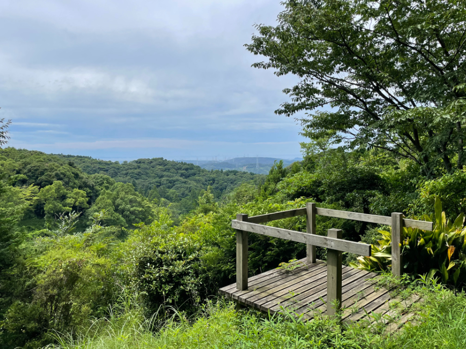 花逍遥の道ルートにあるサクラ展望台