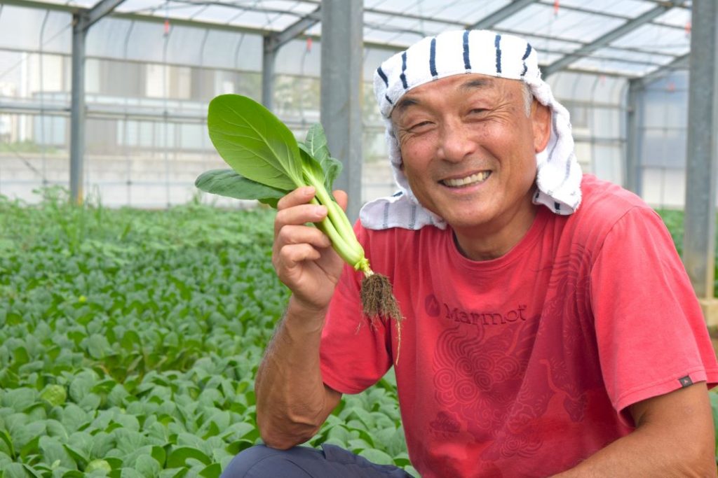 西船橋ひらの農園 平野代一さん