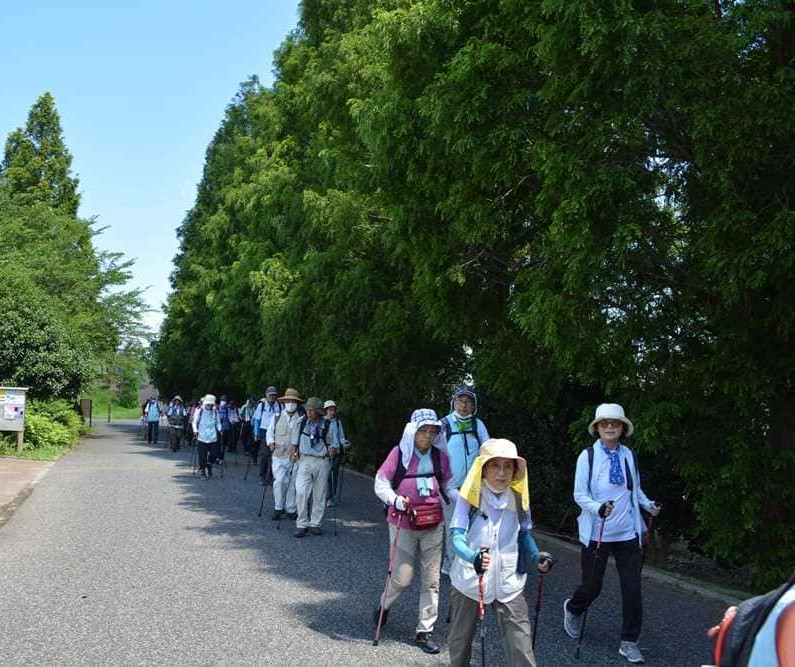 ポールを使って安全に楽しく歩こう!