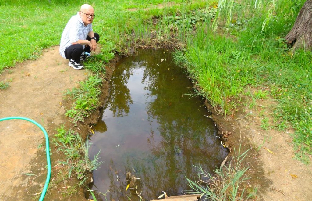 印西市立小倉台小 「ふれあいの里」の池