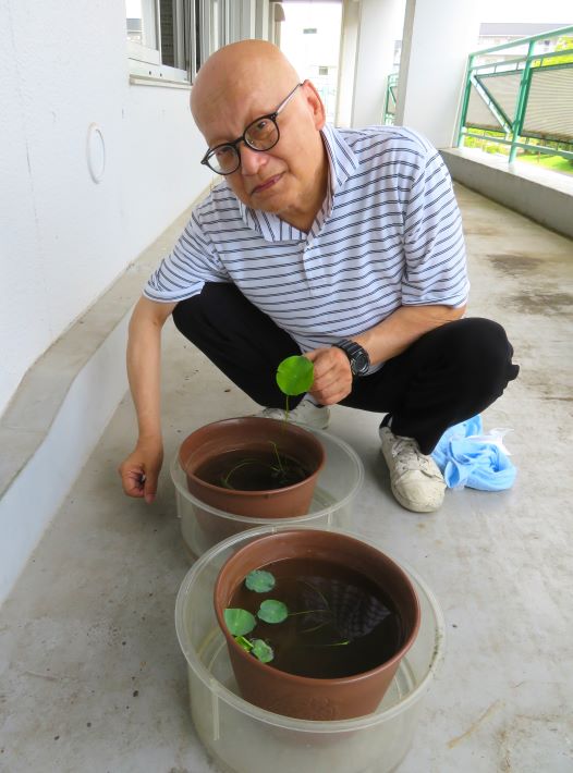 印西市立小倉台小 オオガハスの葉を持つ星清彦講師