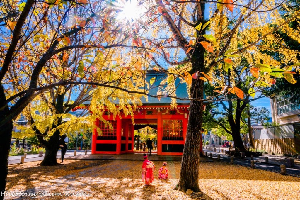 市川のインフルエンサー2人!10月18日からの3日間、展示会開催【市川市】