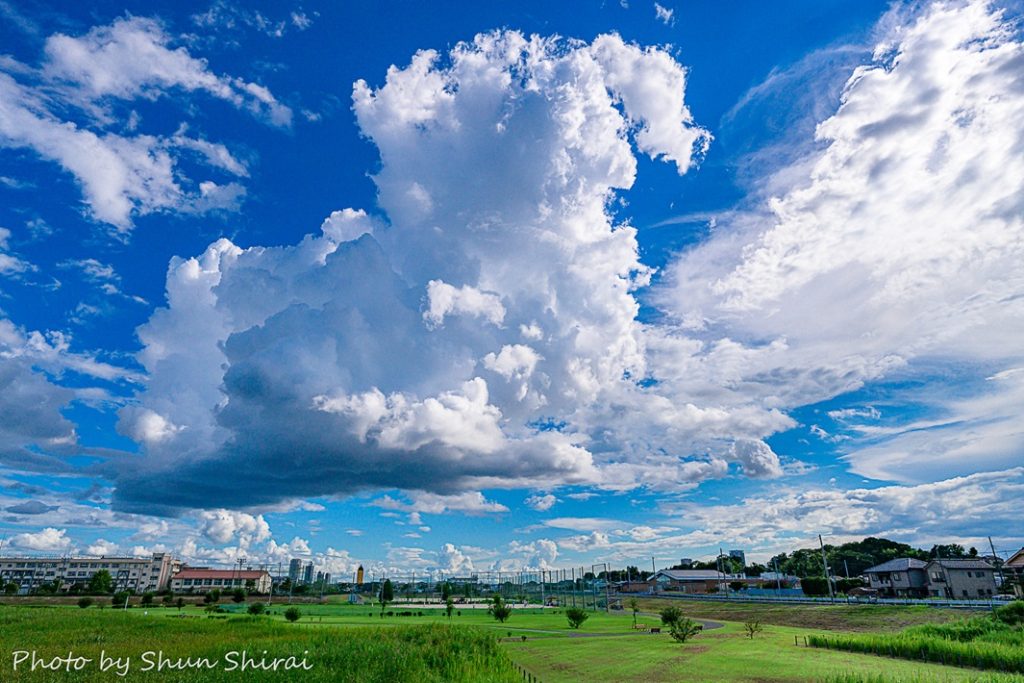 市川のインフルエンサー2人!10月18日からの3日間、展示会開催【市川市】