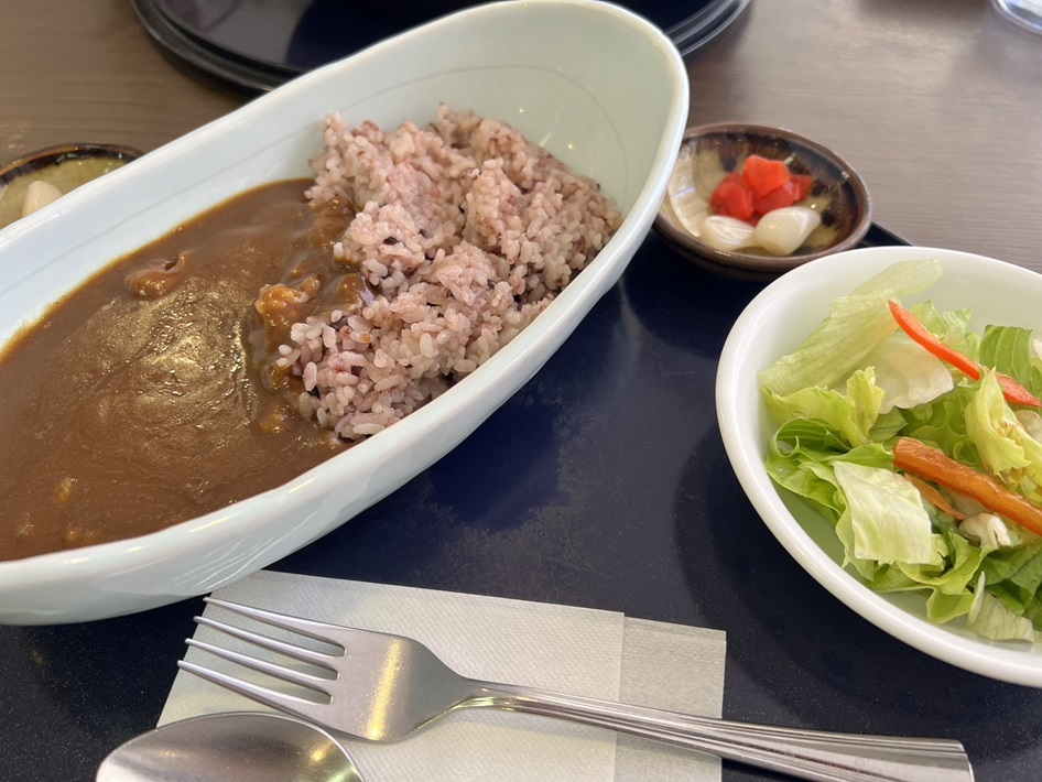古代米カレーがおすすめ!国立歴史民俗博物館「レストランさくら」【佐倉市】