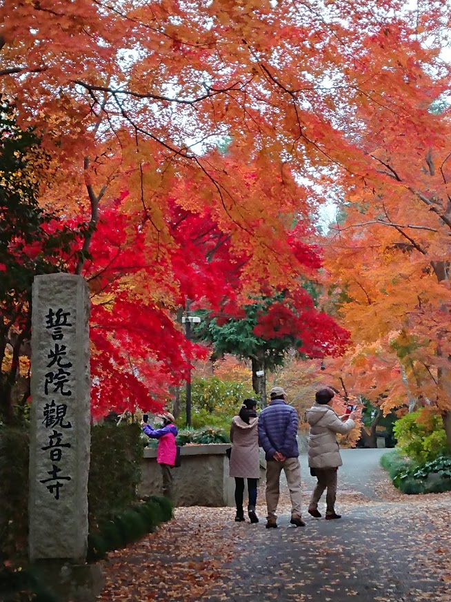 千葉の紅葉名所（観音寺）