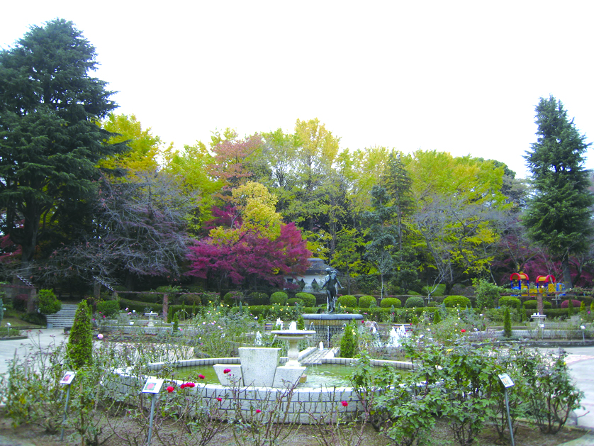 千葉の紅葉名所（里見公園）