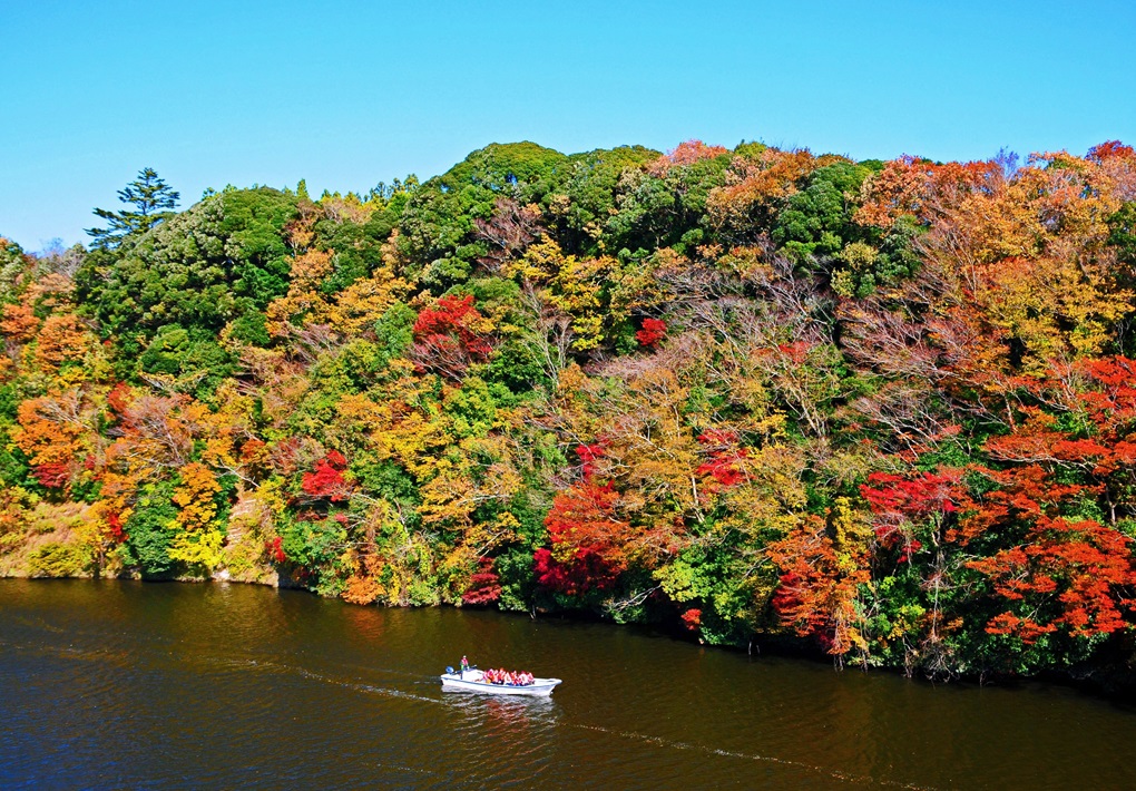 千葉の紅葉名所（亀山湖）