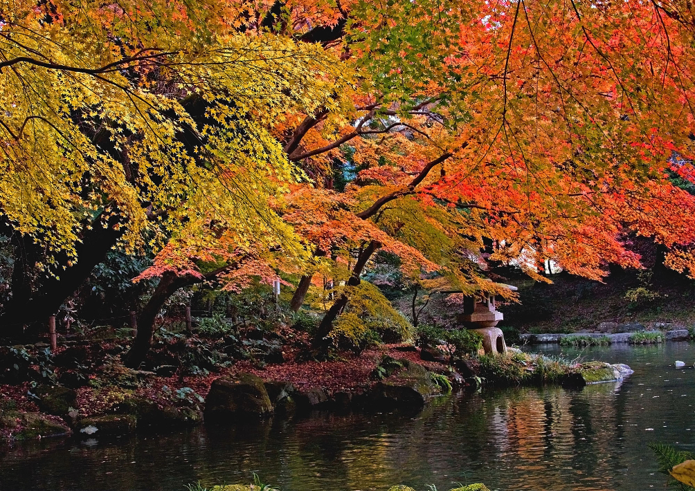 池に映る紅葉が美しい