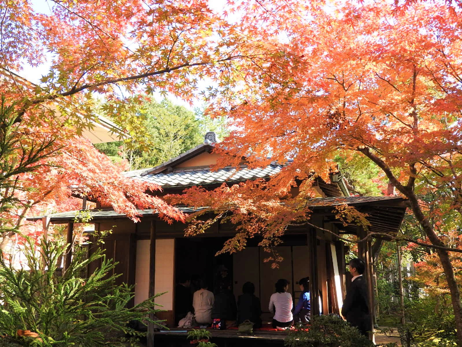 茶室・赤松庵での茶席