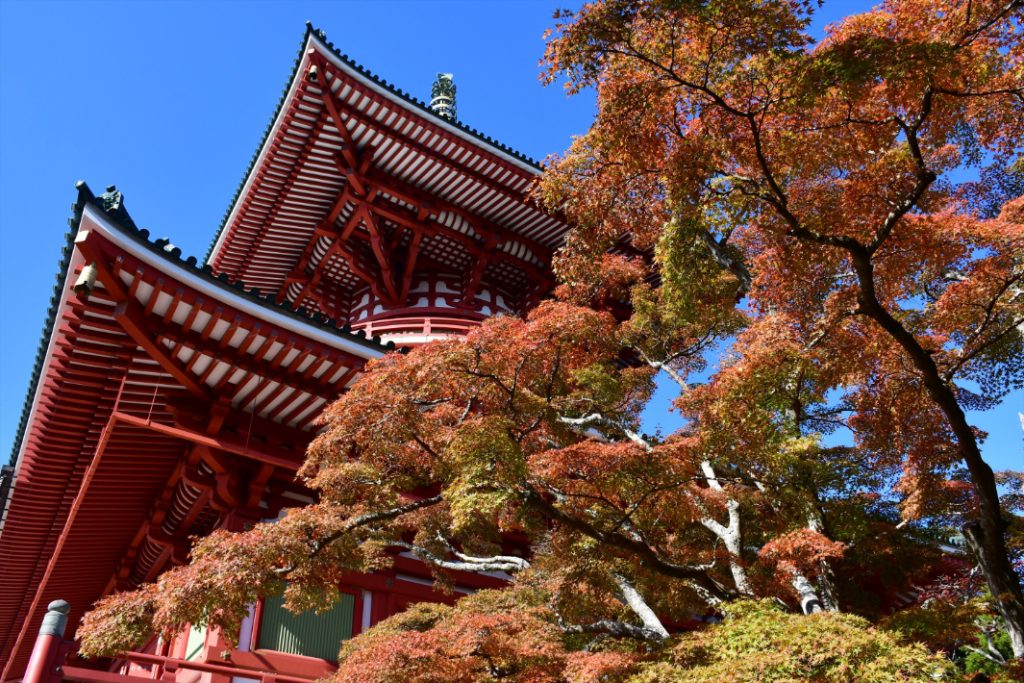 広い園内で気持ちのよい散策を