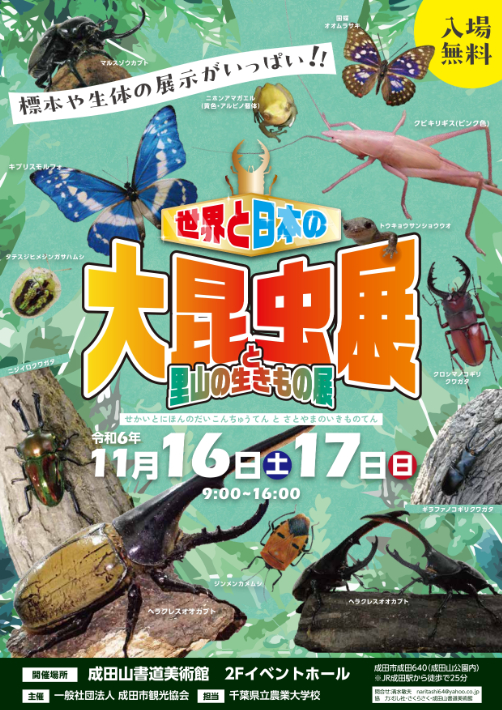 5年ぶり開催の大昆虫展
