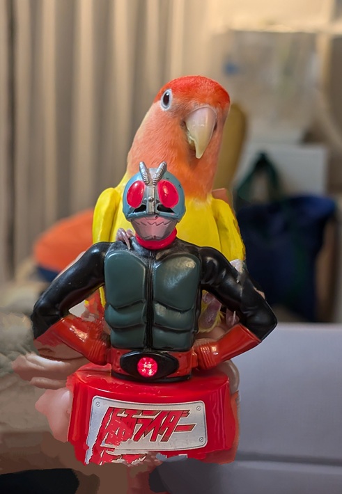 仮面ライダー コザクラインコ