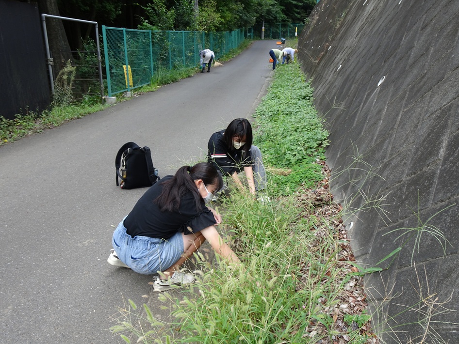 ホタルの光を追った1年間!「千葉県立柏南高等学校放送部」体当たり取材から生まれた絆【柏市】