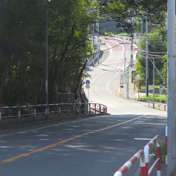 「じゅん菜池通り」市道前のじゅん菜池緑地