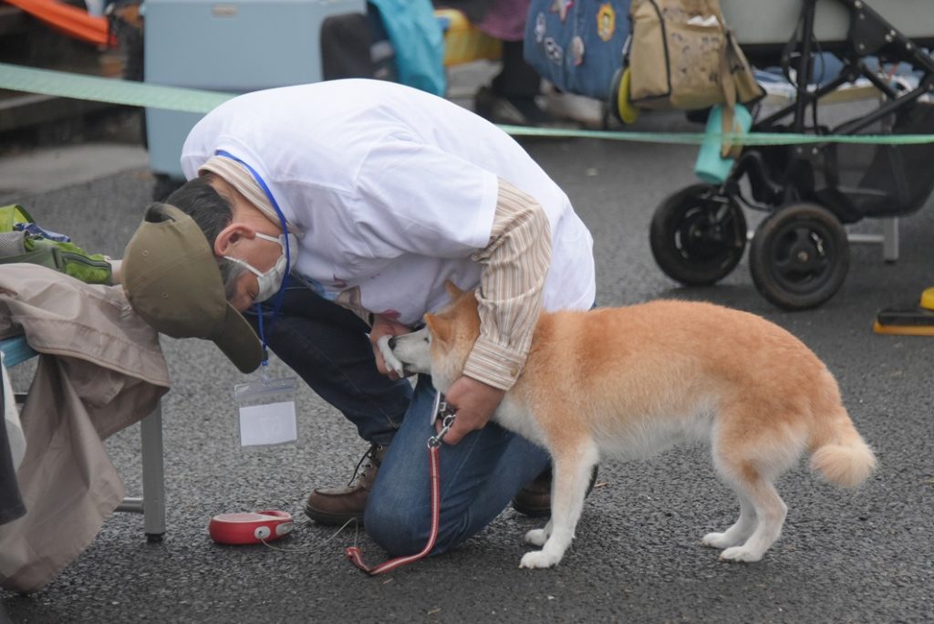 目指せ!世界記録「同時に歯磨きをする犬」大集合!DOGE DAY2024【佐倉市】