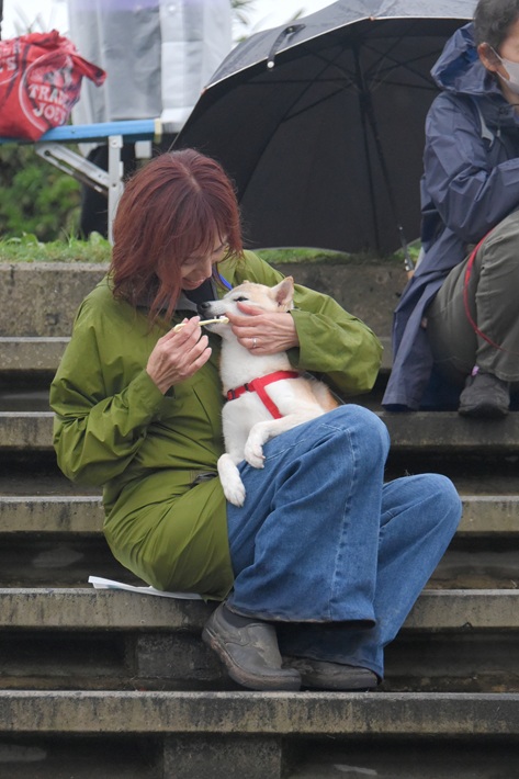 目指せ!世界記録「同時に歯磨きをする犬」大集合!DOGE DAY2024【佐倉市】