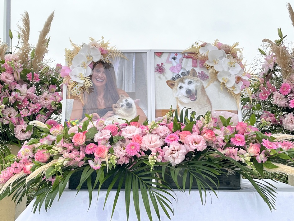 目指せ!世界記録「同時に歯磨きをする犬」大集合!DOGE DAY2024【佐倉市】