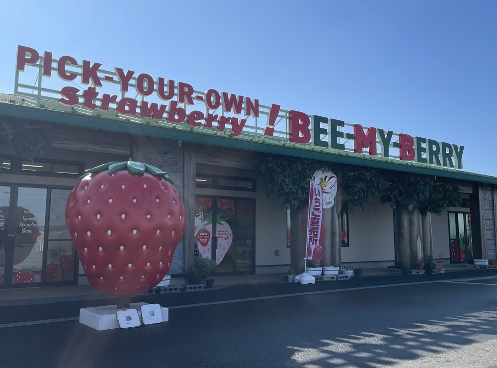 木更津にある観光農園「Bee my Berry」