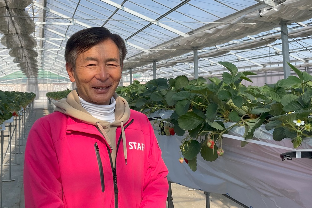 いちご狩りの楽しみ方を「観光農園 Bee my Berry」園長・池野さんに教えてもらいました