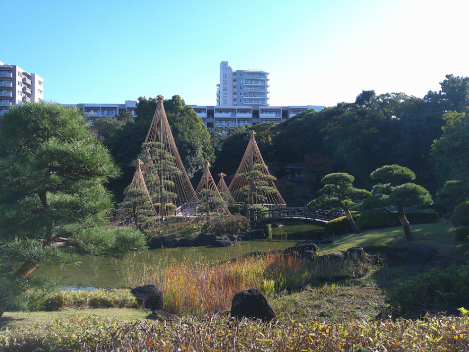都市部にありながらも風情漂う日本庭園