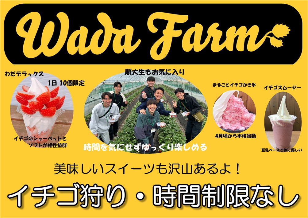 【印西市】和田農園のいちご狩り情報