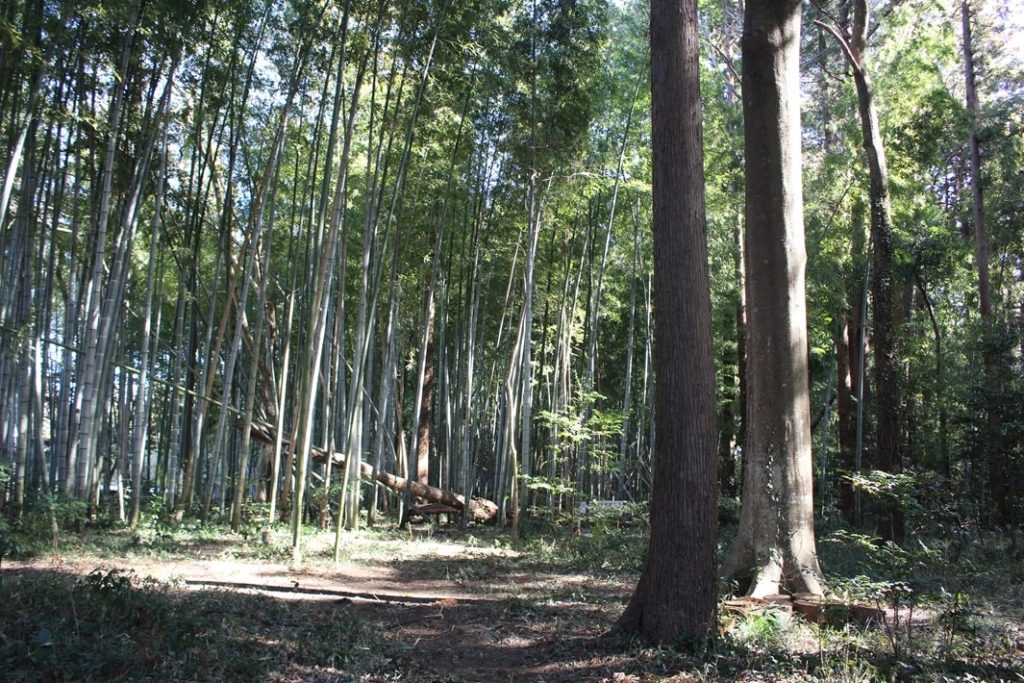 【四街道市】里山の中にある築150年以上の古民家は自宅であり人が集う交流の場