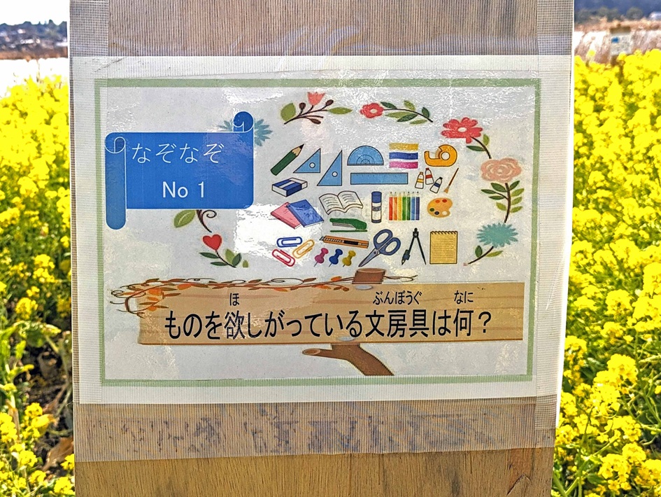 手賀沼沿いの菜の花イベント「菜の花畑散策と頭の体操」「菜の花まつり」へでかけよう!【我孫子市】